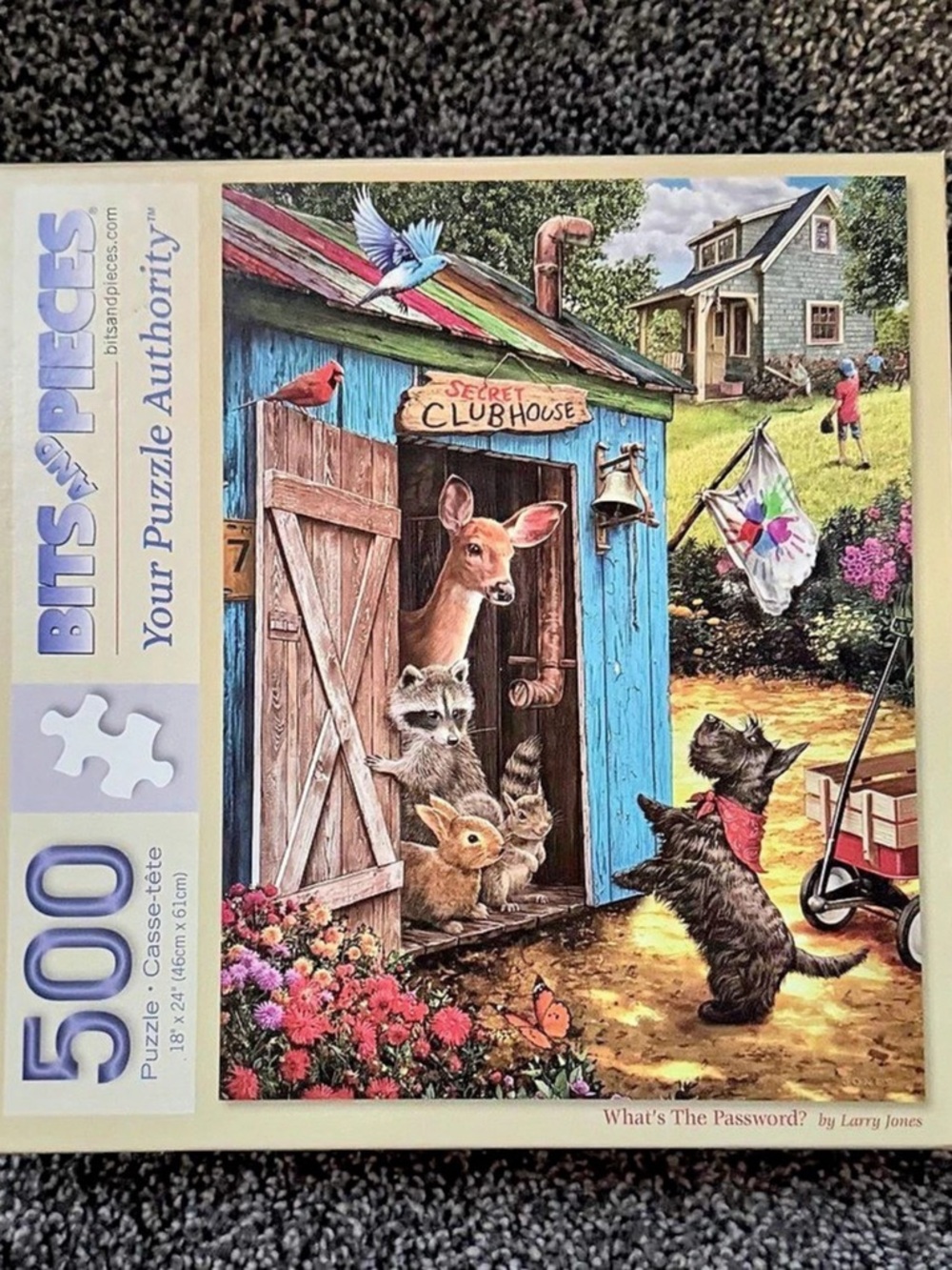Bits and Pieces What's the Password? 500-Piece Puzzle